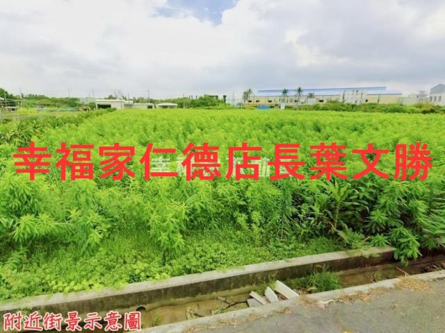 安定農地-7