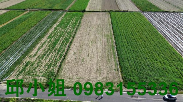 嘉義建地農地台灣房屋圓夢家呂昆佩台灣阿魯米嘉義土地工業建地