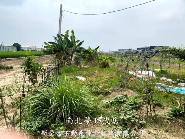西區農地-11