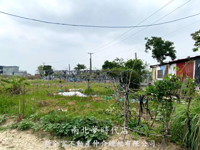 西區農地-7