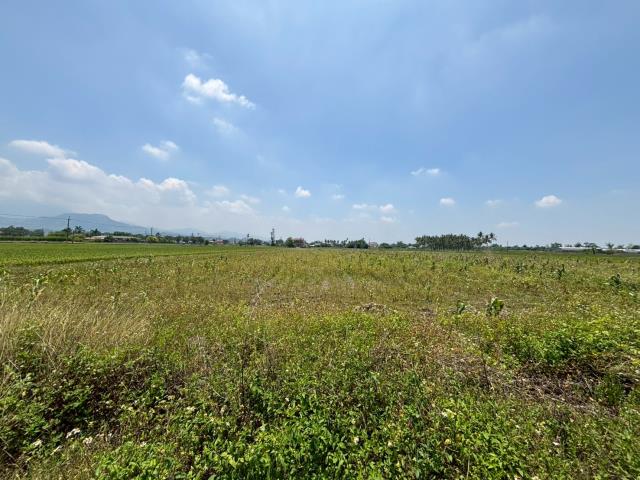 白河農地-1