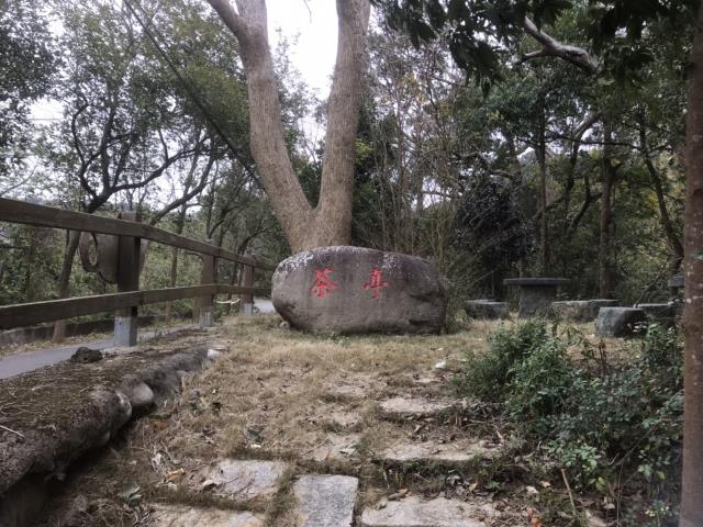 苗栗農地-6