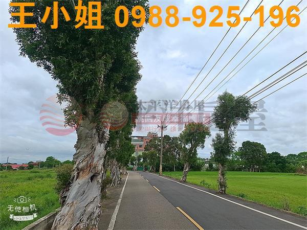 桃園農地-4