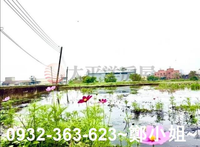 桃園蘆竹農地-3