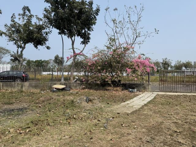 高雄橋頭建地-11