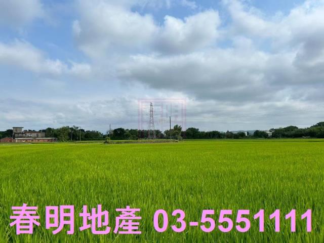新豐農地-3