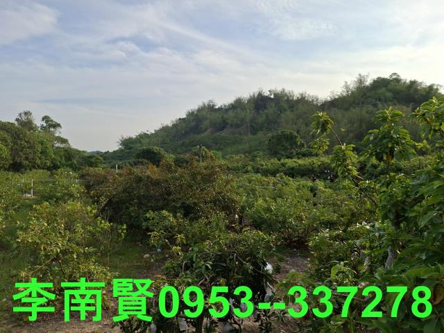 玉井農地-9
