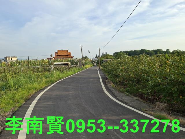 玉井農地-5
