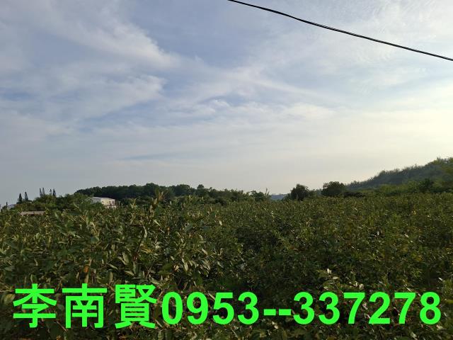 玉井農地-7