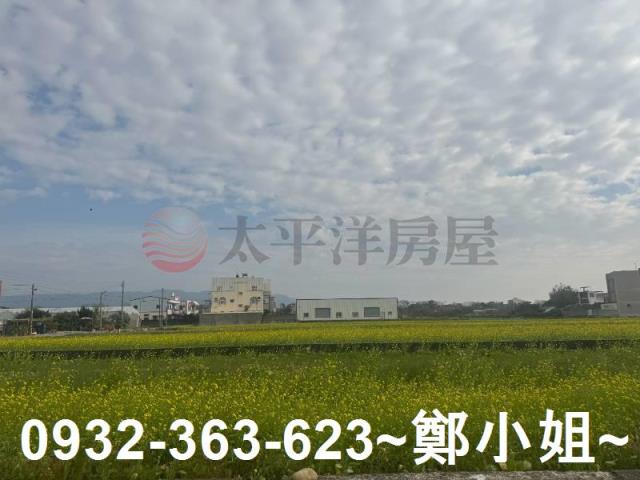 苑裡農地-2