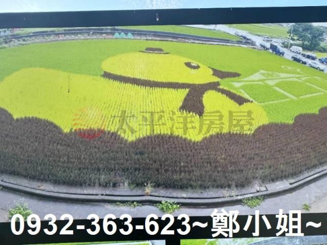 苑裡農地-6