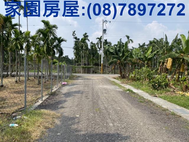 內埔農地-5