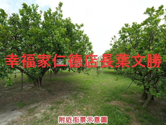 麻豆農地-2