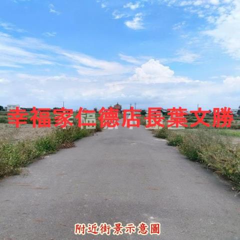 學甲農地-11