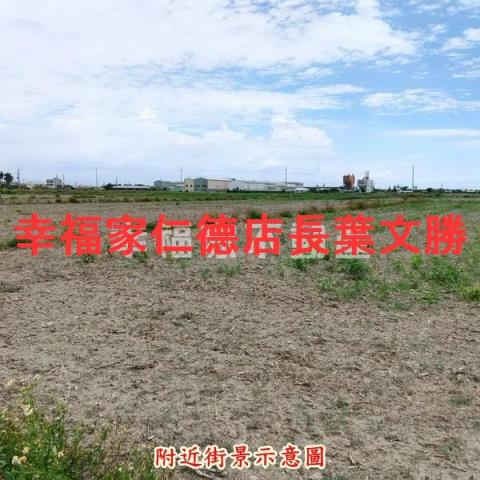 學甲農地-6