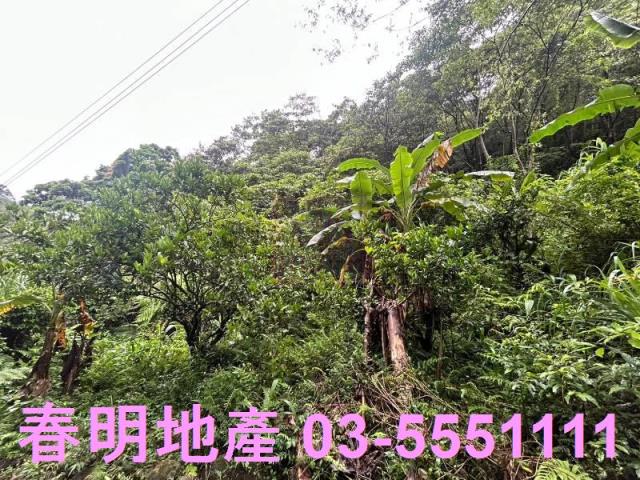 新竹芎林林地-0