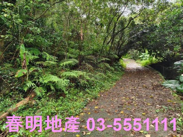 新竹芎林林地-3