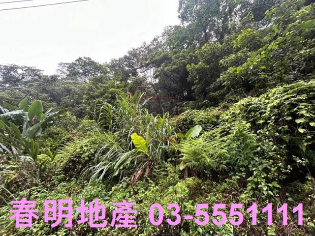 新竹芎林林地-8