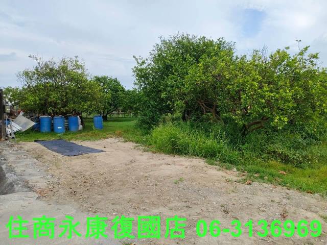 台南佳里農地-9