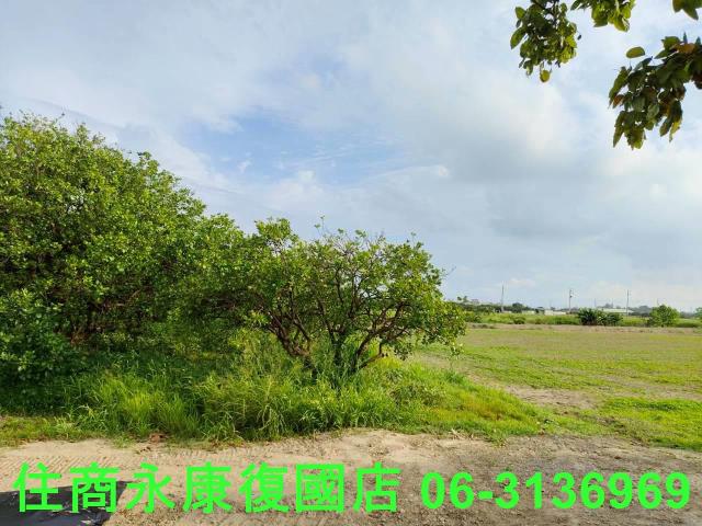 台南佳里農地-12