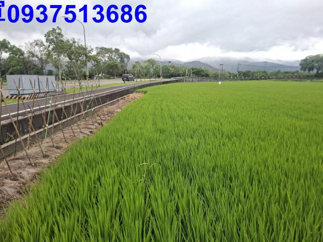 員山農地-2