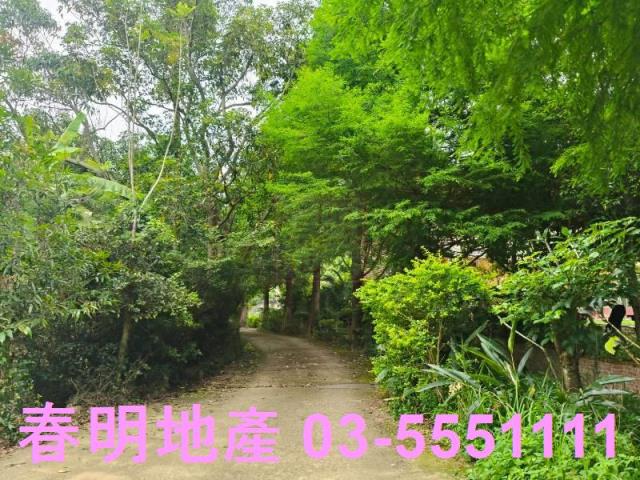 苗栗農地-7