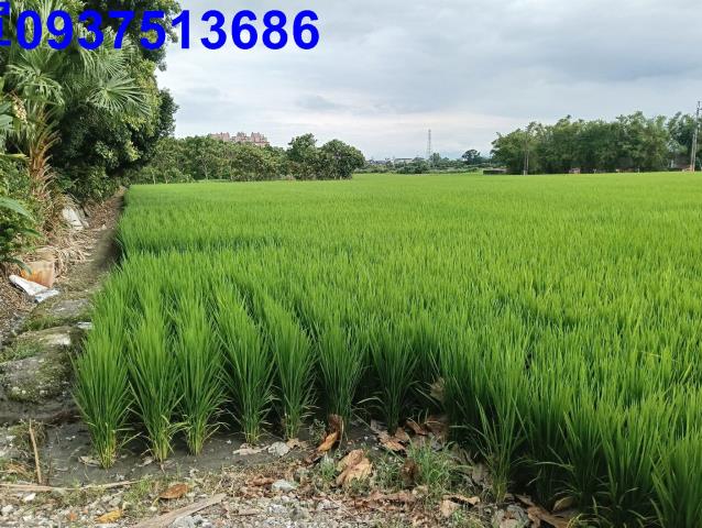 宜蘭頭城農地-11