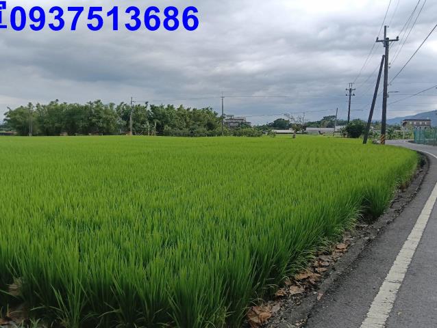 宜蘭頭城農地-12