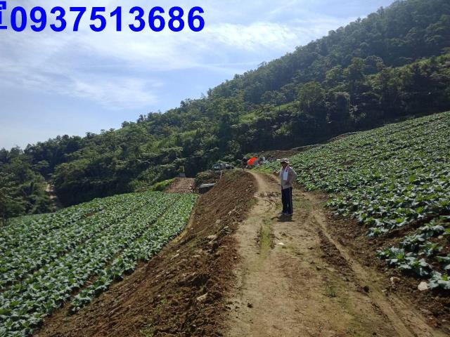 宜蘭南澳山坡地-6