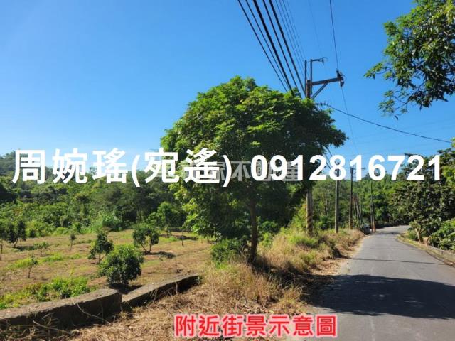 左鎮農地-12
