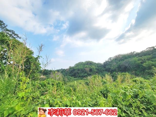 新化林地-11