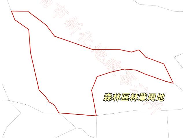 新化林地-12