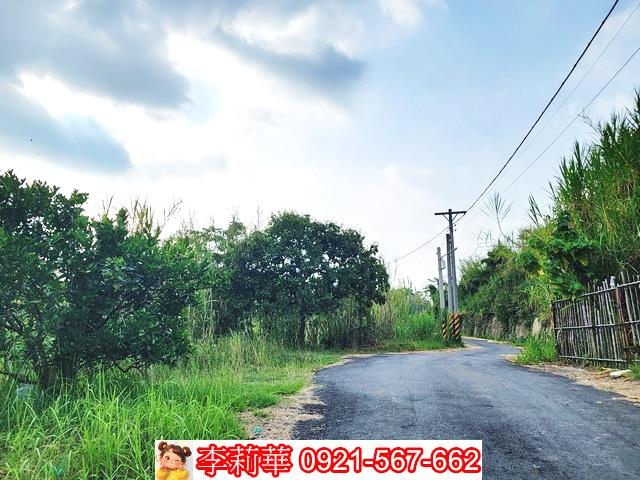 新化林地-1