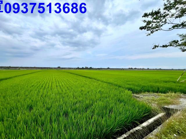 宜蘭壯圍農地-8