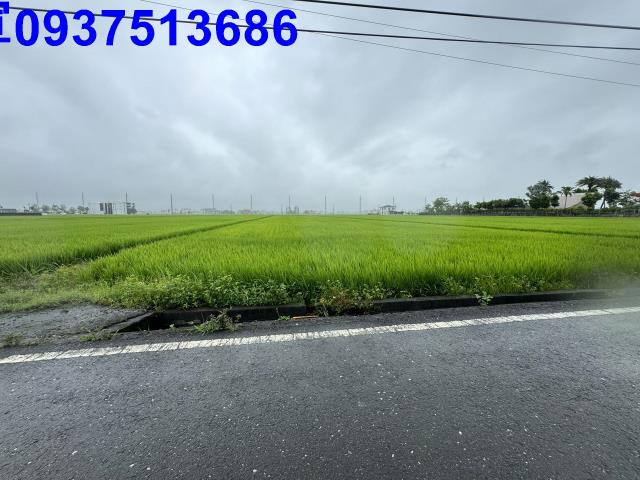 宜蘭壯圍農地-2