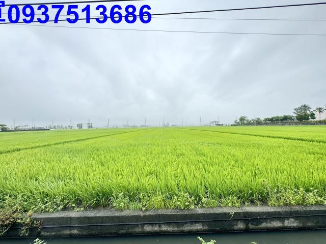 宜蘭壯圍農地-4