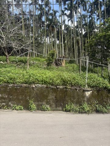 新社山坡地-1