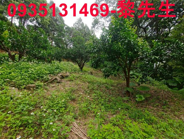 新竹北埔農地-1