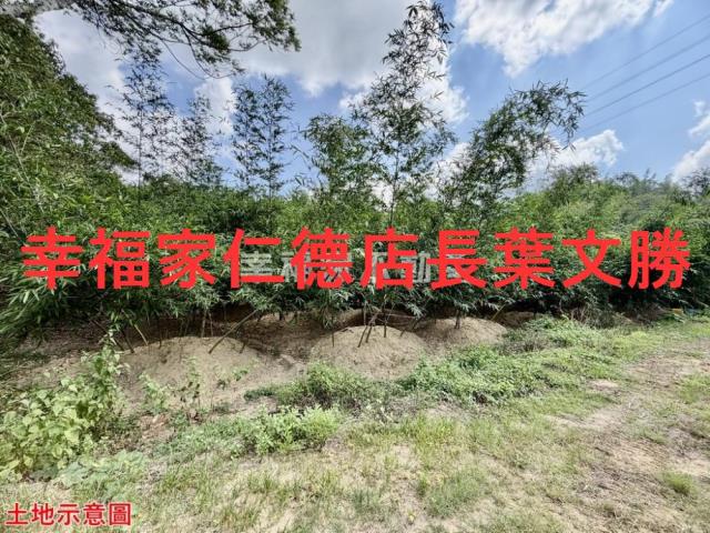 台南關廟農地-4