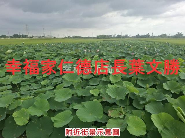 台南白河農地-1