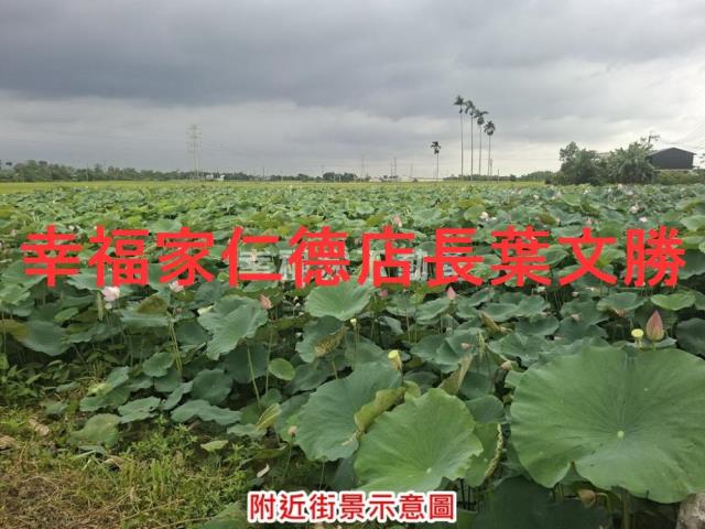 台南白河農地-5