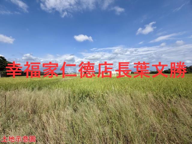 仁德農地-2