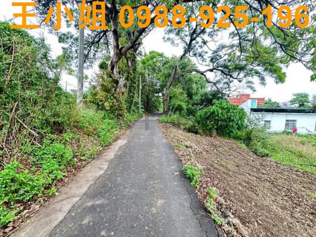 桃園建地
