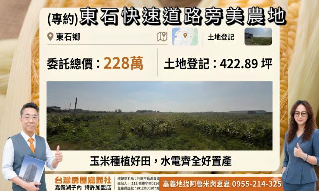 水上大崙農地