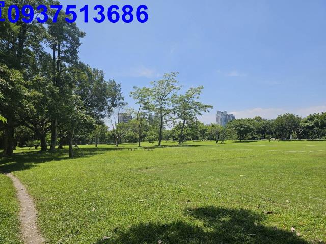 宜蘭羅東農地-9