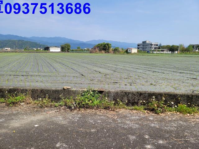 員山農地-6