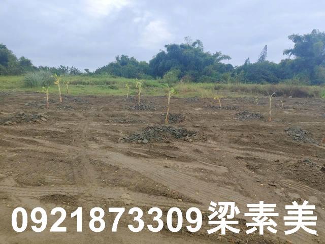 關廟農地-4