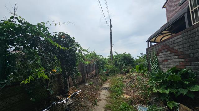 新屋雙面路農地