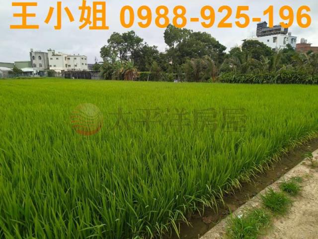 桃園桃園區農地-9