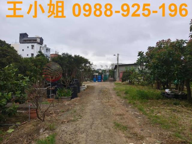 桃園桃園區農地-6